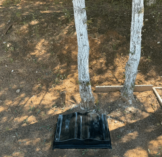 墓型31號(hào)